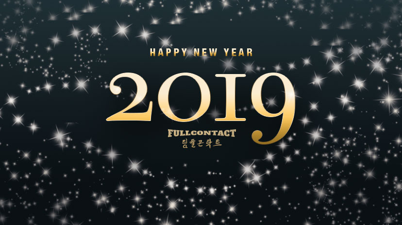 Read more about the article Happy New Year 2019